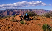 photo thumbnail #7