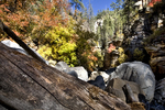 photo thumbnail #9