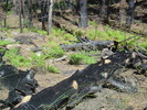 photo thumbnail #5