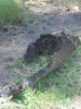 photo thumbnail #6