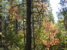 photo thumbnail #12