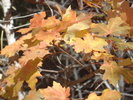 photo thumbnail #15