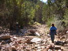 photo thumbnail #4