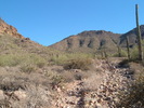photo thumbnail #5