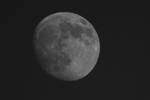 photo thumbnail #9