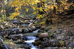 photo thumbnail #11