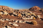 photo thumbnail #13