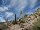photo thumbnail #1