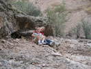 photo thumbnail #5