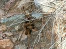 photo thumbnail #13