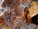 photo thumbnail #14