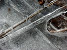 photo thumbnail #15