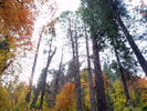 photo thumbnail #13