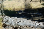 photo thumbnail #11