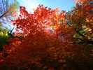 photo thumbnail #13