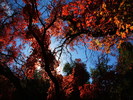 photo thumbnail #15