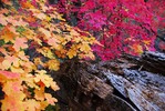 photo thumbnail #13