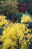 photo thumbnail #15