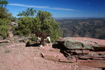photo thumbnail #3