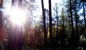 photo thumbnail #9