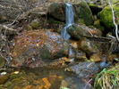 photo thumbnail #10