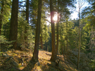 photo thumbnail #12
