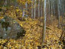 photo thumbnail #13