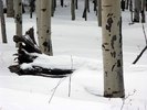photo thumbnail #7