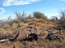 photo thumbnail #10