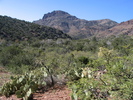 photo thumbnail #7