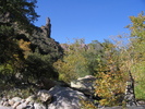 photo thumbnail #11