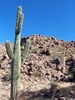 photo thumbnail #2