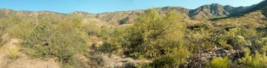 photo thumbnail #9