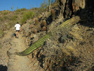 photo thumbnail #2