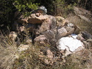 photo thumbnail #10