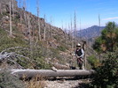 photo thumbnail #1