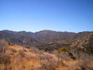 photo thumbnail #4