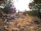 photo thumbnail #8