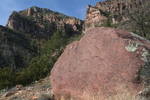 photo thumbnail #4