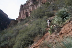photo thumbnail #8