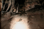 photo thumbnail #14
