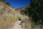 photo thumbnail #3