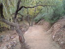 photo thumbnail #2