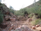 photo thumbnail #6