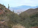 photo thumbnail #7