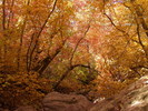 photo thumbnail #10