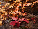photo thumbnail #11