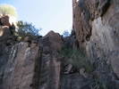 photo thumbnail #1