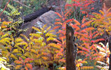 photo thumbnail #13