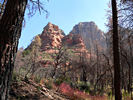 photo thumbnail #14